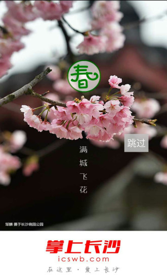 掌上长沙国际版app下载