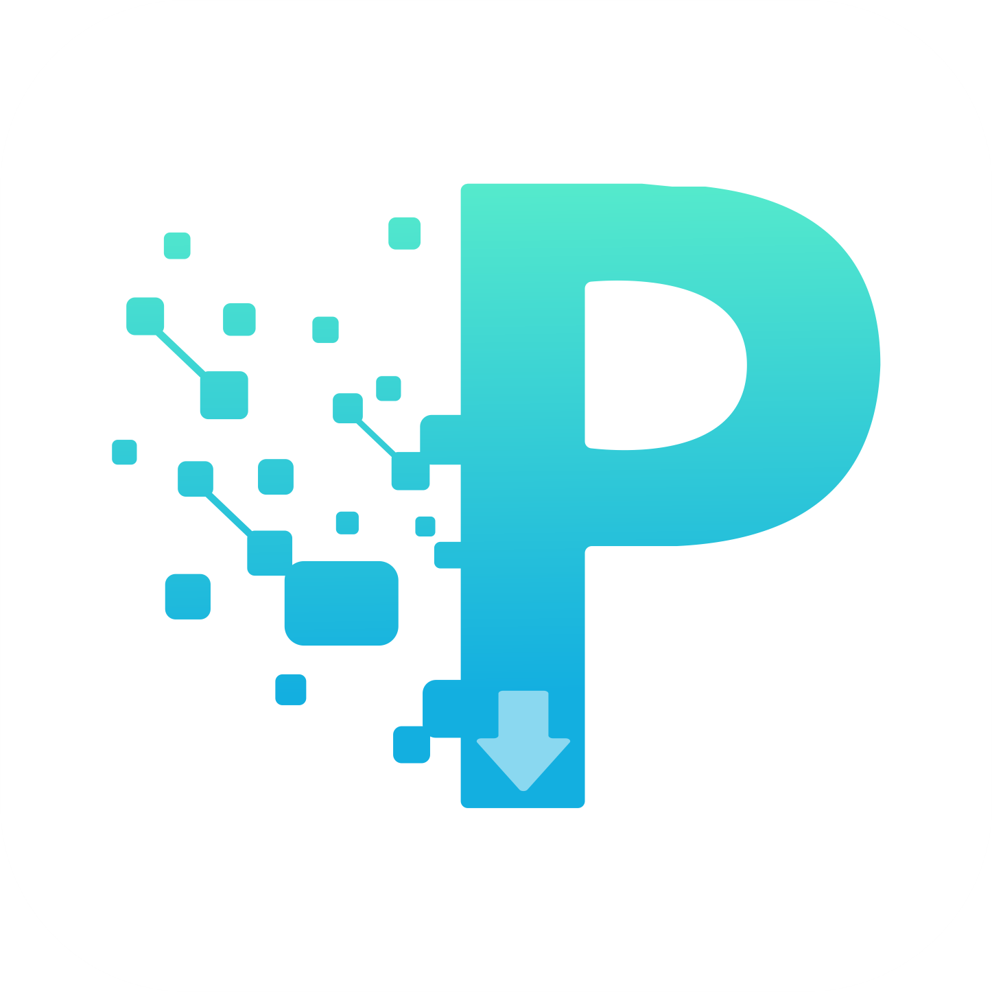 PP下载器网页登录入