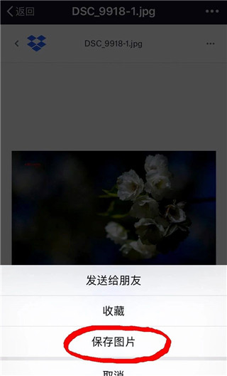 dropbox免费空间版